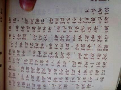 关于兔子的成分