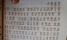 关于兔子的作文