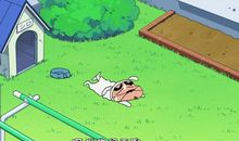 我和同学交换身份