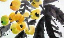 怀念庭中有枇杷的日子