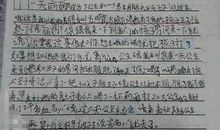 这就是我三年级作文