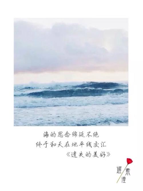 海留在我心中