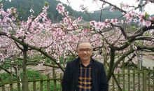 陌上花开缓缓行