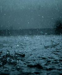 听雨声