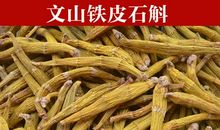 铁皮石斛