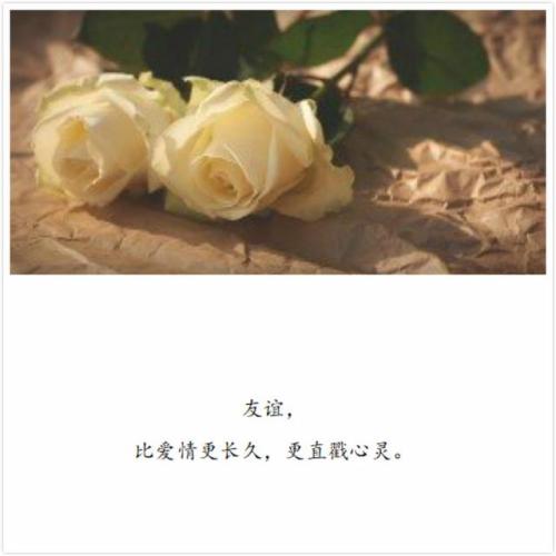 延长友谊
