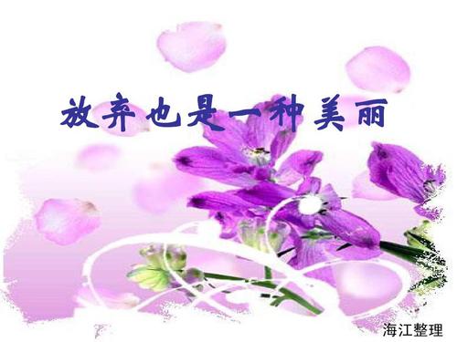 放弃也是一种美