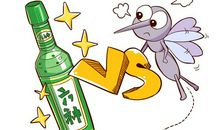 我和蚊子的“战争”