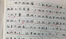 作文小小动物园