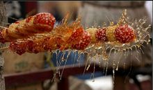 那一刻我垂涎欲滴