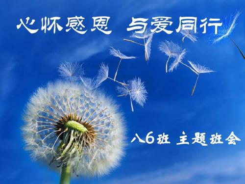 这个仪式使我感激不已