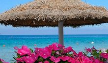 未能面朝大海，亦能春暖花开