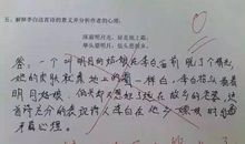 关于数学的作文