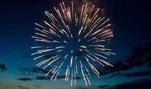 夜空中绽放的花