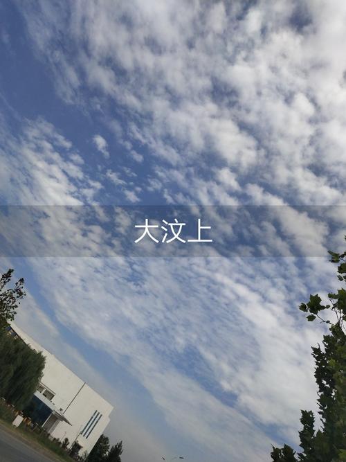 我渴望自由