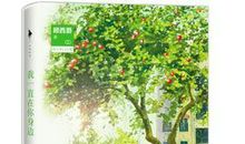 你的爱一直在我身边