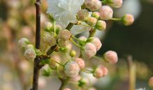 一个闲不住的人