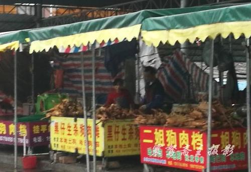 很高兴再次看到那个角落的摊位