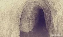 小乌龟“越狱”记