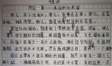 三年级作文春天在哪里