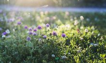 活出自我，展生命之独特