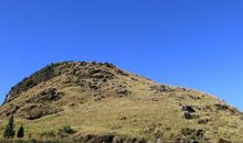 冬日里最靓丽的风景线