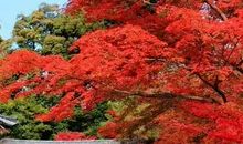 有善才有爱有爱才有你我他