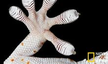 来去自如的文字