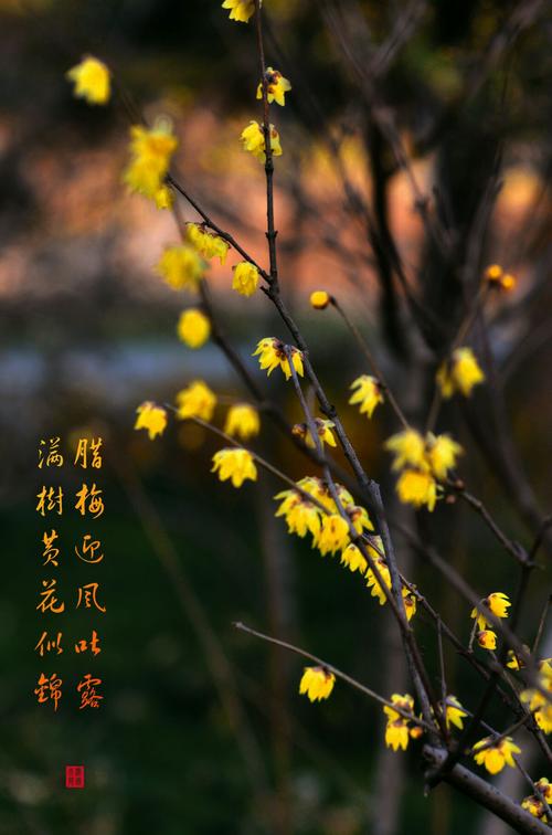 再见，很好