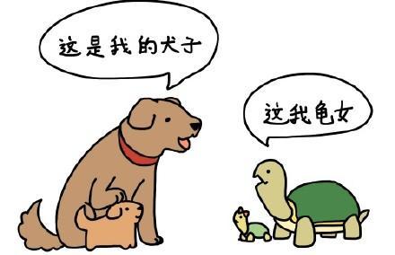 粗心杀了我