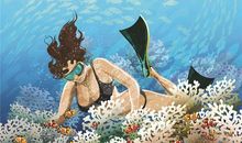 难忘的第一次潜水