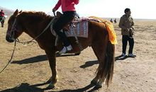 第一次骑马的经历