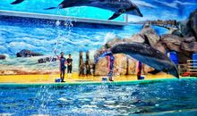 我和水的亲密接触