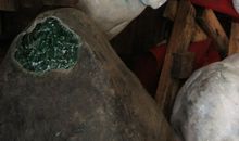 心尖上的那抹紫