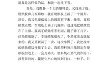 五年级说明文作文