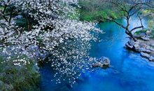 行走在诗人的春天里