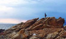 在城市中寻找自然