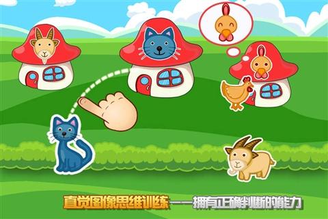 动物的直觉