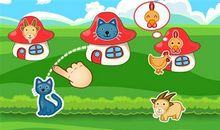 动物的直觉读后感