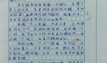 小小动物园的作文