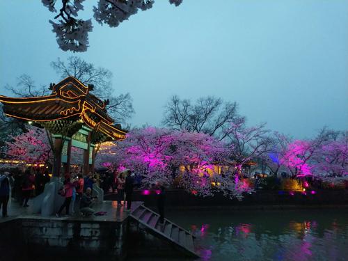 公园夜景