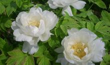 这一天让我怀念