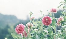 从遇见你的那天起