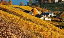 秋天美景让我沉醉