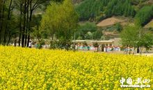 让文明之花遍地盛开