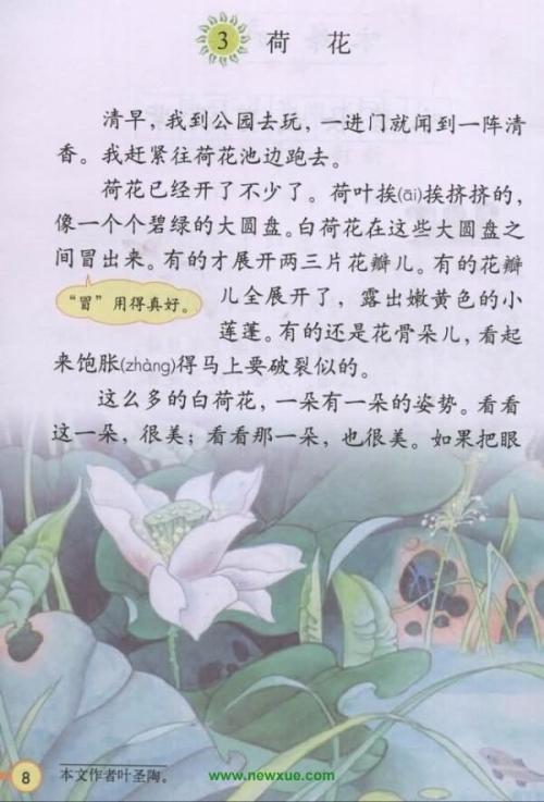 三年级写作荷花作文