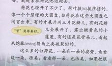 三年级写荷花的作文