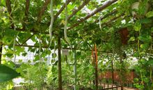 亚林所科普活动