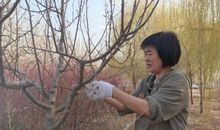 别开生面的劳技课