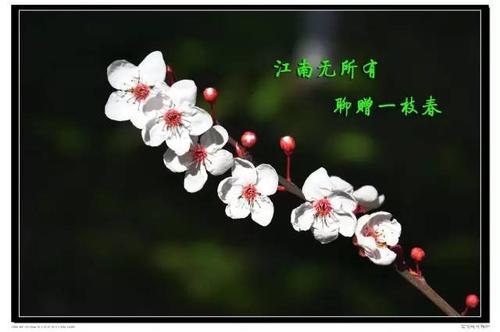 与春天聊天